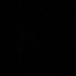 Meet your Posher, Rosetta